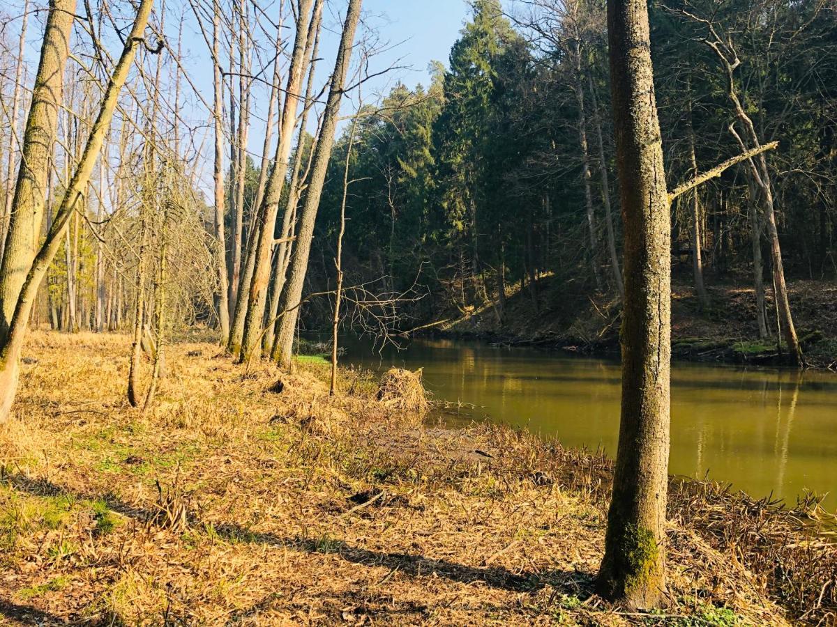 Apartament Sloneczny Olsztyn  Exteriör bild